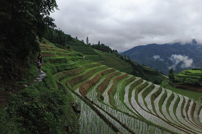 1-Day Longji Terrace Fields-Pingan village Tour with the English Speaking Driver - Why the English speaking private driver is more than a comfort upgrade
