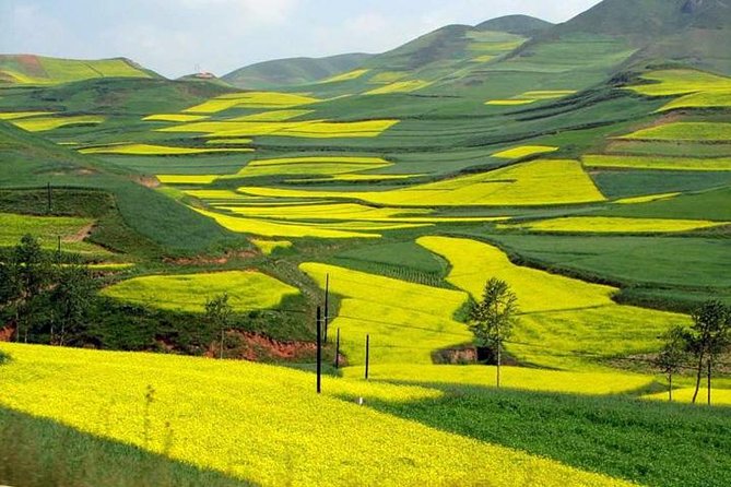 1-Day Longsheng Rice Terrace Tour from Guilin with Private Guide & Driver - What’s included, what costs extra, and how to budget