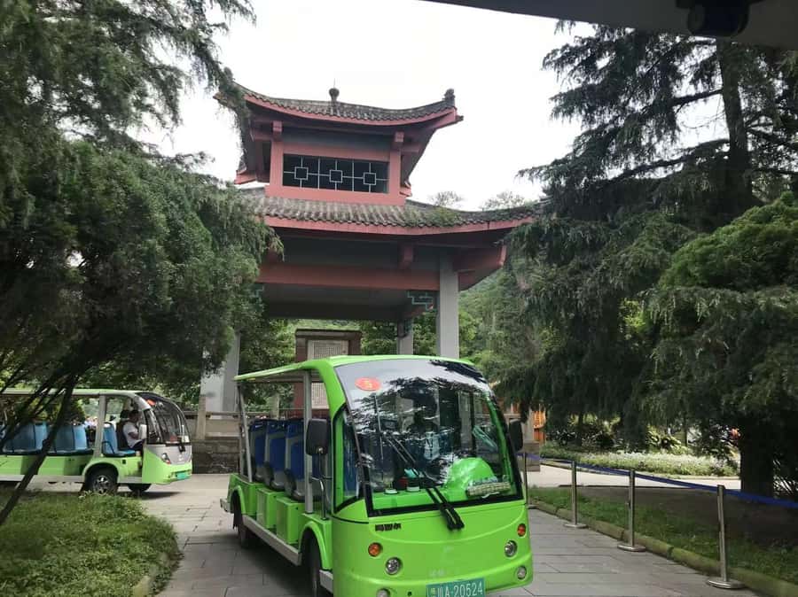 1-Day Mount Qingcheng and Dujiangyan Irrigation System Tour - Crowd reality and how to stay sane at Qingcheng
