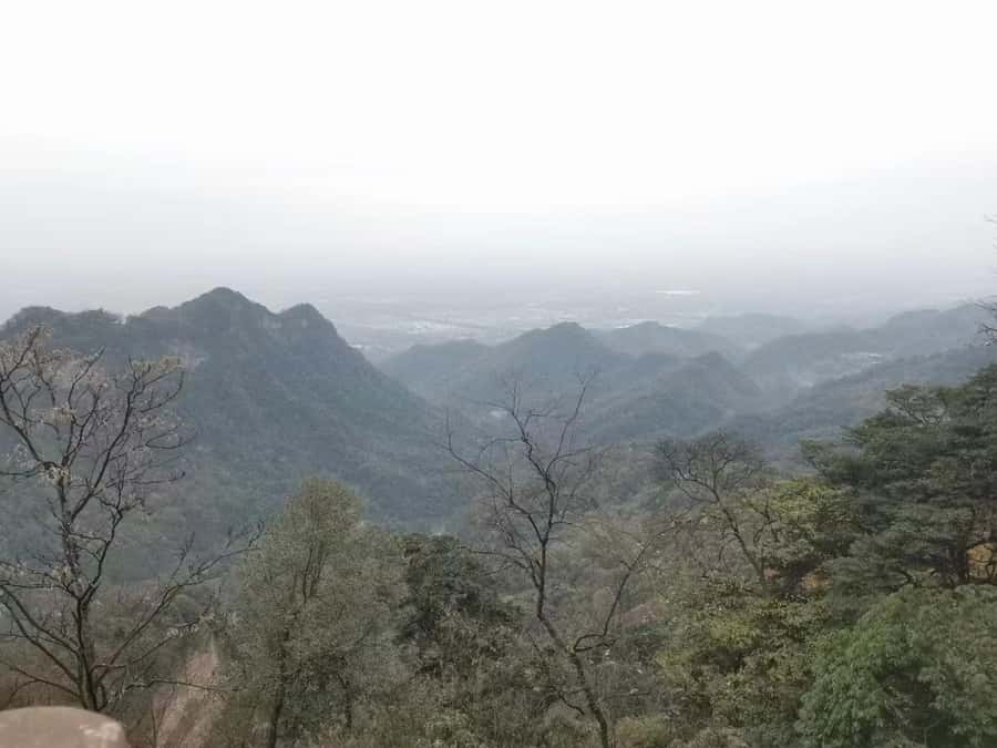 1-Day Mount Qingcheng and Dujiangyan Irrigation System Tour - How Qingcheng and Dujiangyan fit together in one day
