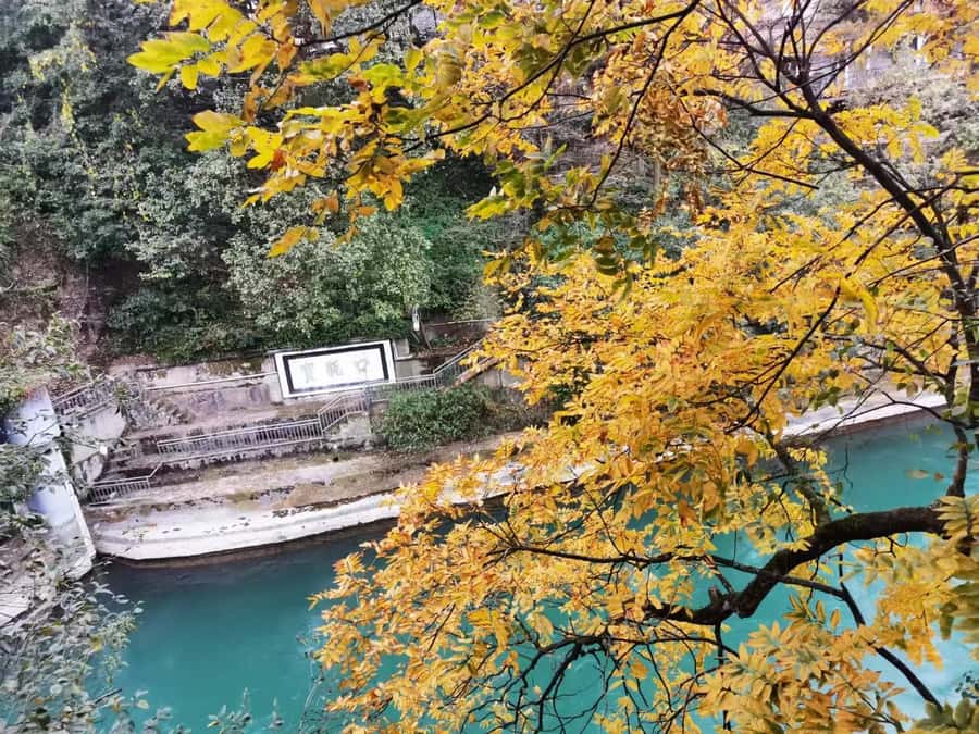 1-Day Mount Qingcheng and Dujiangyan Irrigation System Tour - Mount Qingcheng: Front Mountain versus Back Mountain