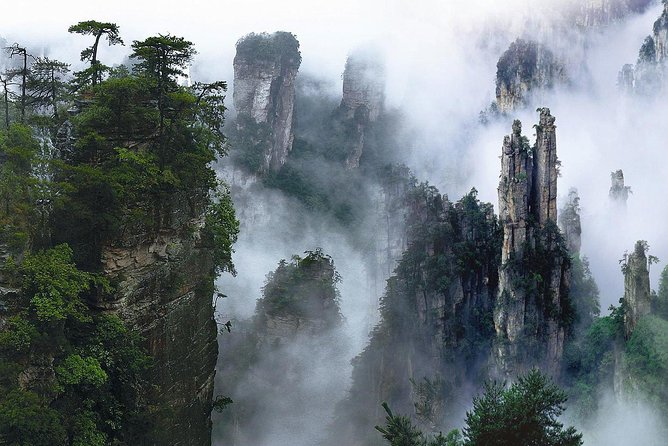 1-Day Private Tour to ZJJ National Forest Park & Avatar Mountain - Golden Whip Brook: the easiest place to start your photo day