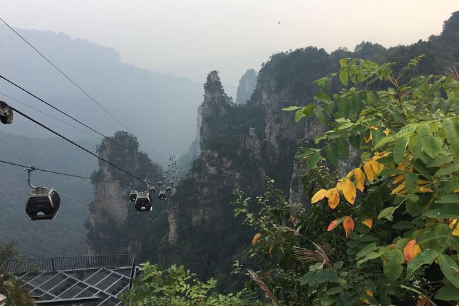 1-Day Private Tour to ZJJ National Forest Park & Avatar Mountain - Hotel pickup and round-trip transport, a quiet quality-of-life win