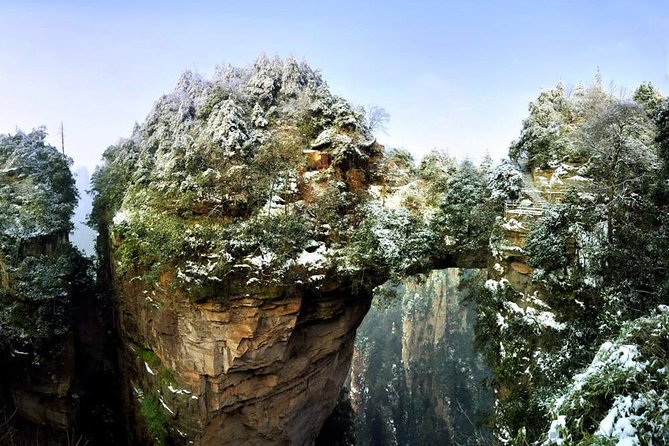1-Day Private Tour to ZJJ National Forest Park & Avatar Mountain - Price and logistics: what you’re really paying