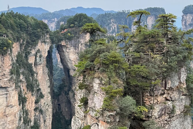 1-Day Private Zhangjiajie Tour to Avatar Mountain & Glass Bridge - Zhangjiajie National Forest Park: UNESCO pillars and a guided walking day