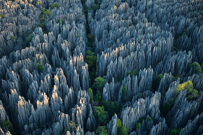 1 Day Stone Forest & Jiuxiang Cave Tour - Key Things That Make This Day Trip Worth Your Time