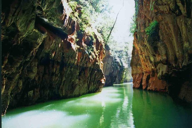 1 Day Stone Forest & Jiuxiang Cave Tour - Stone Forest in Shilin County: A Karst Maze You Can Walk Through