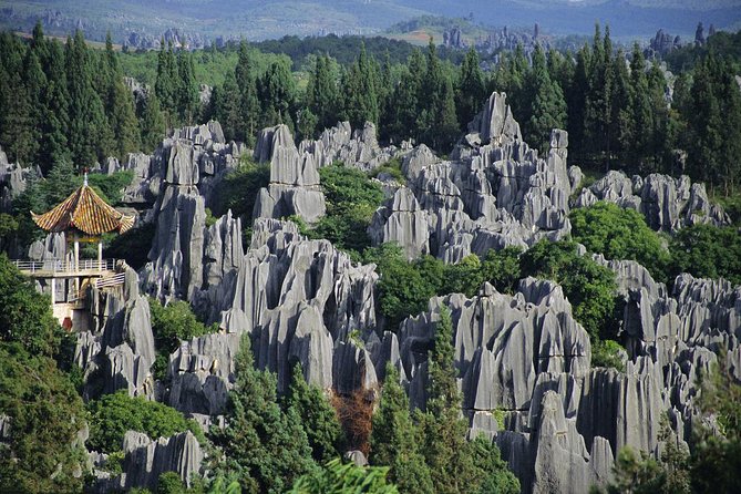 1 Day Stone Forest & Jiuxiang Cave Tour - The Drive to Jiuxiang and Why the Lunch Matters