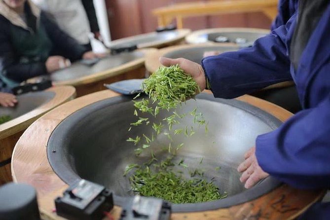 1-day Village Tea Picking, Roasting & Serving Guided Private Tour from Hangzhou - Longjingshan Tea Cultural Village: the hands-on picking lesson