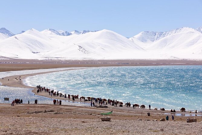 10 Days Tibet Everest Base Camp and Namtso Small Group Tour - Key highlights worth centering on