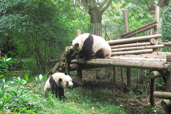 16-Day Private China Essence Tour with Yangtze River Cruise - Key points I’d plan around