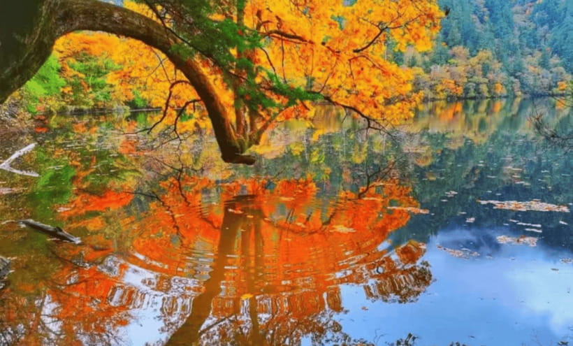 2 Day Chengdu to Jiuzhaigou&Huanglong Self-Guided w/Transfer - When to go: heat, crowds, and realistic pacing