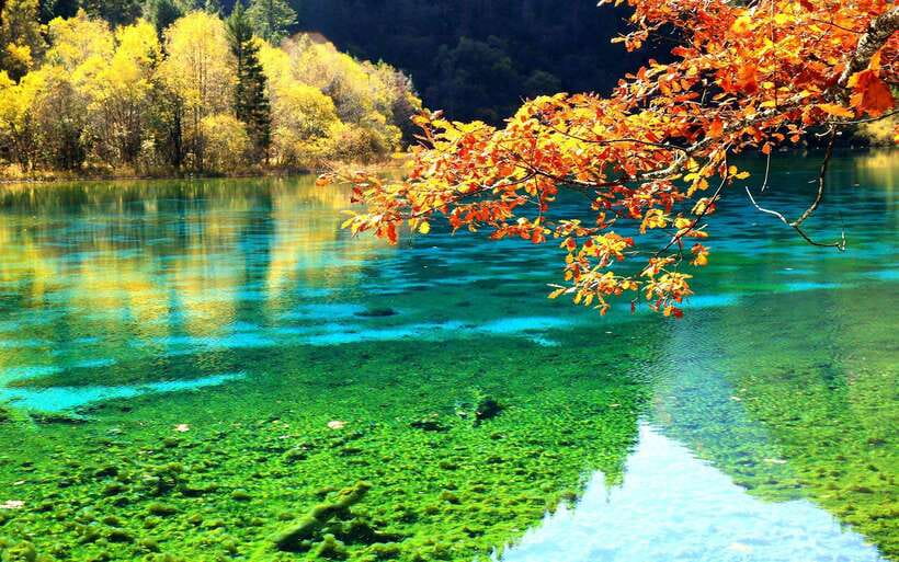 2 Day Chengdu to Jiuzhaigou&Huanglong Self-Guided w/Transfer - Getting from Chengdu to the mountains without the headache