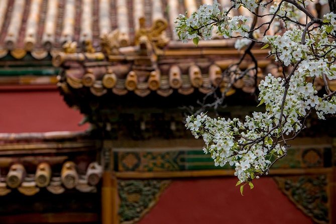 3-Day Private Beijing Tour with Forbidden City, Great Wall, Hutong and Lunch - Who should book this Beijing private 3-day tour