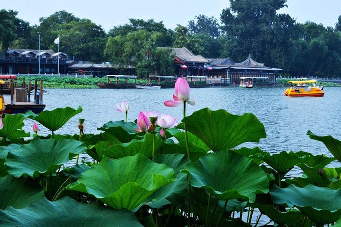 3-Hour Private Hutong Walking Tour with Drum Show at Drum Tower and Tea Tasting - Key Highlights You Should Care About