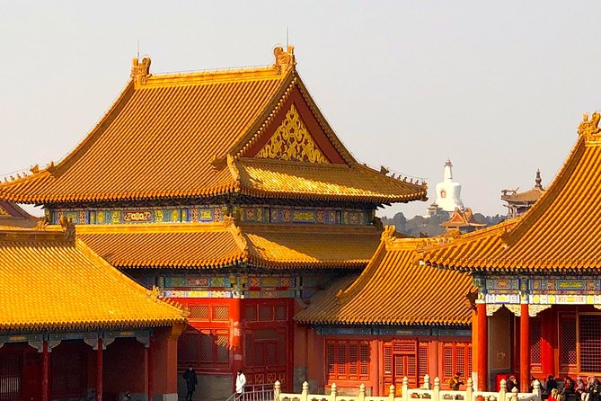3-Hour Private Tour: Amazing Beijing City Highlights - Imperial Garden break: a calmer finish with seasonal touches