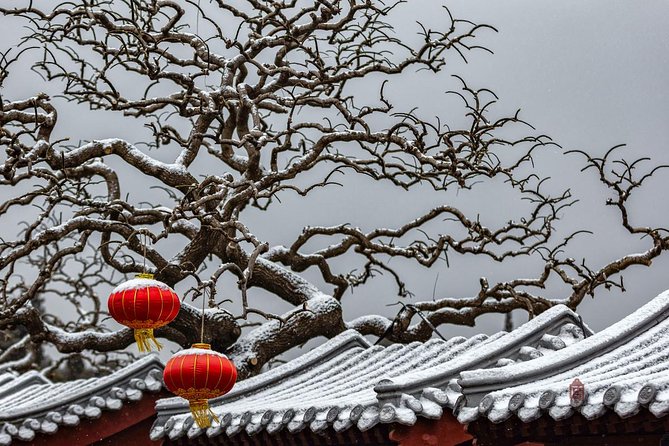 4-Hour Private Forbidden City Walking Tour with Bird's ViewOption - Meeting up, getting there, and what you should plan for