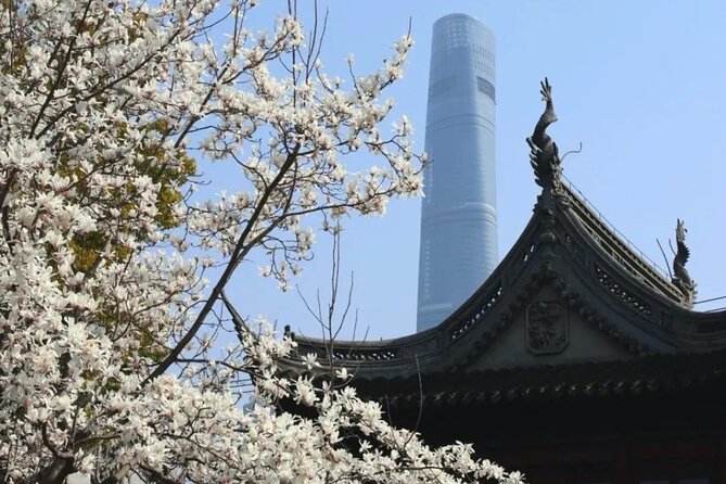 4-Hr Shanghai Layover Tour: Maglev, Wet Market, Food, Landmarks - Turning a Shanghai layover into real sightseeing time