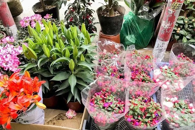 6-Hour Private Beijing Tour: Flower and Fish Market, Panjiayuan Antique Market and 798 Art Zone - Who This Tour Fits Best (and Who Might Skip It)