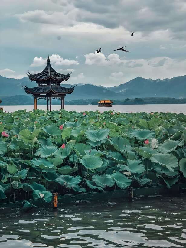7 hours Hangzhou Tour Itinerary - A 7-hour Hangzhou loop built around West Lake views