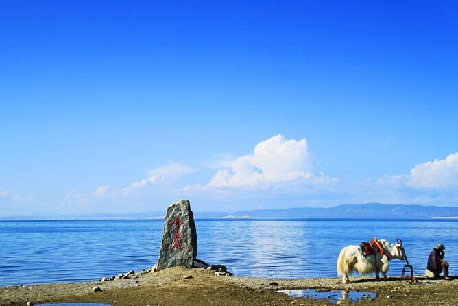 8 Days China Silk Road Private Tour to Xining, Zhangye, Dunhuang - Mogao Caves first, then Crescent Moon Pool and Shazhou Night Market
