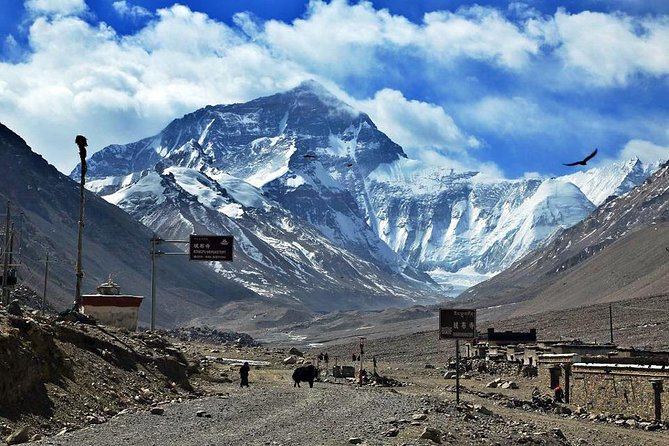 8 Days Lhasa Gyantse Shigatse Mt Everest Group Tour - Should You Book This Tour?
