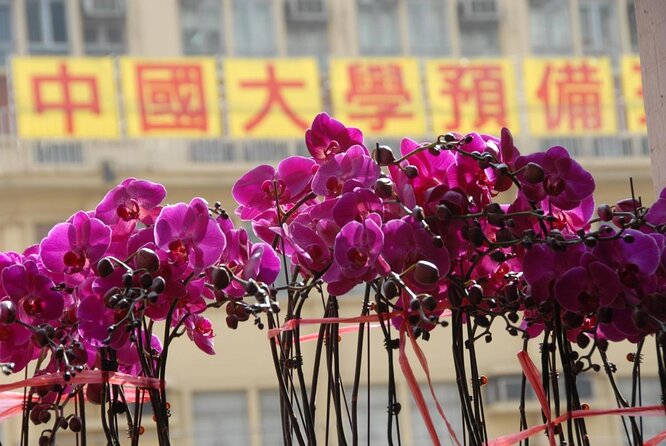 A Taste of Hong Kong: Private Tour With Locals - Start at Prince Edward, Then Work Your Way Into Mong Kok