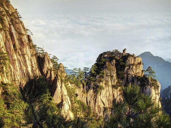All inclusive Huangshan summit 1 day private tour-No shopping - Greeting Pine, the 800-year-old welcome