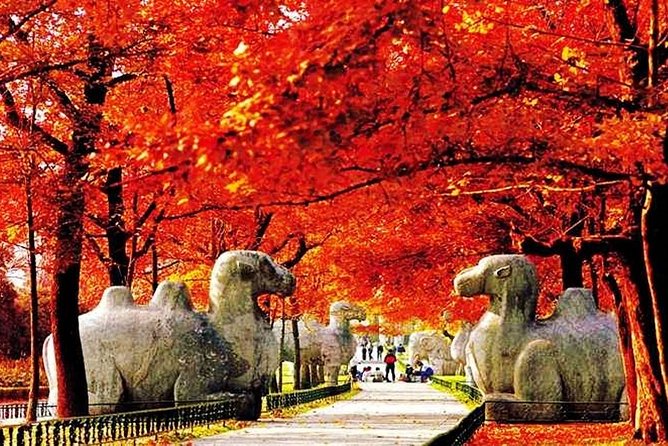 All Inclusive Nanjing City Private Day Tour with Tailor-Made Highlights - Private pickup and a plan you can actually customize in Nanjing