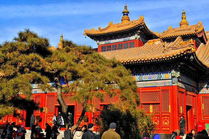 All-inclusive Private Day Trip: Hutongs, Lama Temple & Panda House with Lunch - Jingshan Park hilltop: getting your Forbidden City sightlines