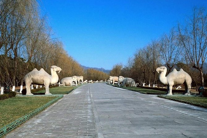 All Inclusive Private Tour to Mutianyu Great Wall and Ming Tombs - Lunch in Local Chinese Restaurants: The Calm Reset You Need