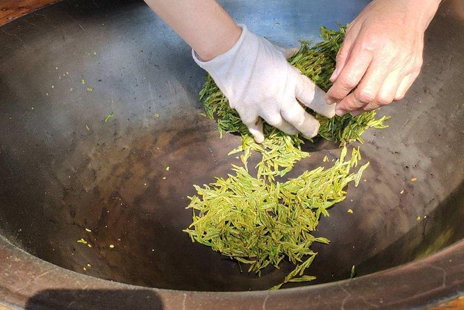 Authentic Hangzhou Longjing Tea Culture Experience Tour - Tea Picking Time, Plus What You Learn Before You Start
