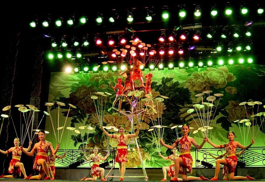 Beijing: Acrobatic Show with Peking Duck Dinner Private Tour - Should You Book This Beijing Duck and Acrobatics Private Tour?