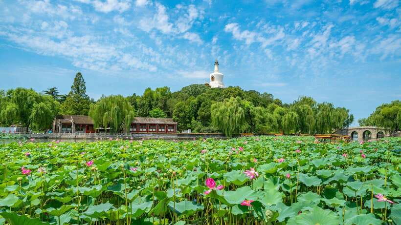 Beijing: Beihai Park Entry Ticket & English PDF Guidebook - Key Points You Should Know Before You Go
