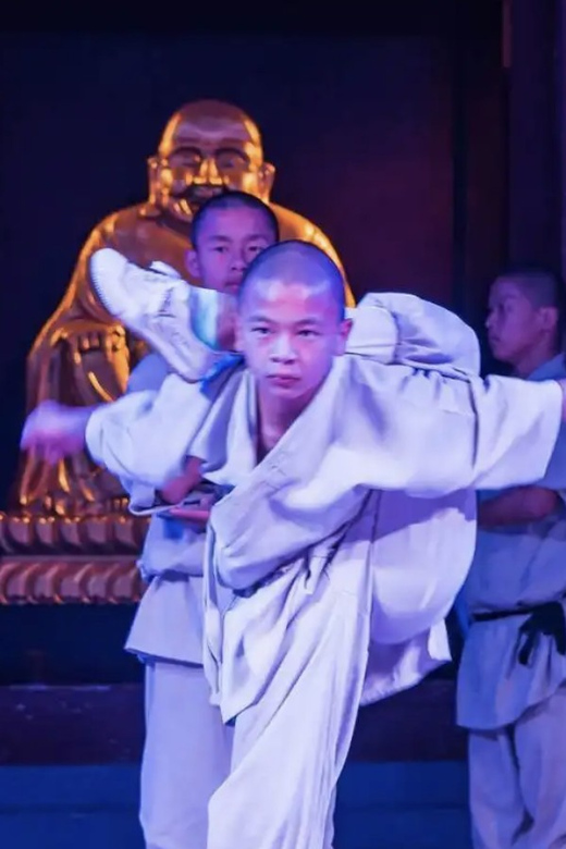 Beijing:Bullet Train Day Tour to Shaolin Temple&Martial Arts - The Pagoda Forest: why those 240+ tomb pagodas matter