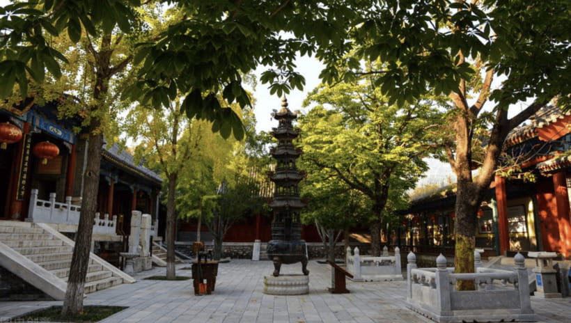 Beijing:Bullet Train Day Tour to Shaolin Temple&Martial Arts - Practical considerations: rain, crowds, and how to show up ready