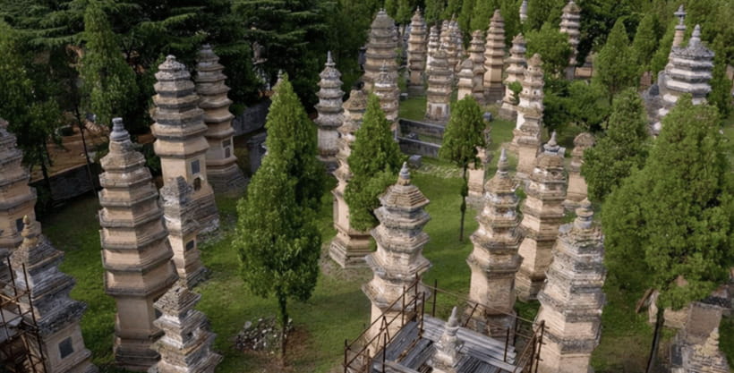 Beijing:Bullet Train Day Tour to Shaolin Temple&Martial Arts - Who this tour suits best, and who should look elsewhere