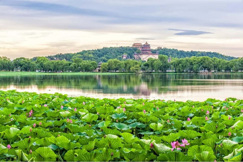 Beijing: Chinese Culture Tea Ceremony Reservation Service - English Support That Actually Helps: Guide + Instructor