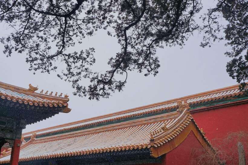 Beijing:Forbidden City & Tian'anmen Square with entry ticket - Jewelry and Clock Hall options: what to expect from the guided version