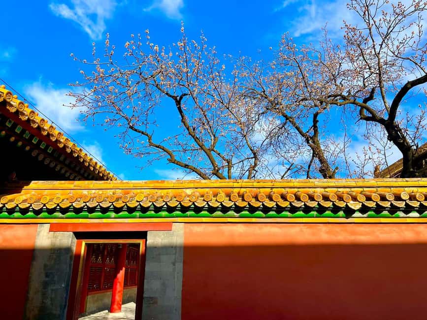 Beijing:Forbidden City Tour--Reveal Secrets Behind Red Walls - Edited photos, surprise souvenirs, and how you’ll keep the memories