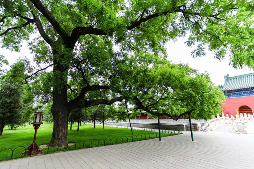 Beijing：Forbidden City Tour—Temple, Summer Palace&Great Wall - Temple of Heaven and Summer Palace: Breathers With Meaning