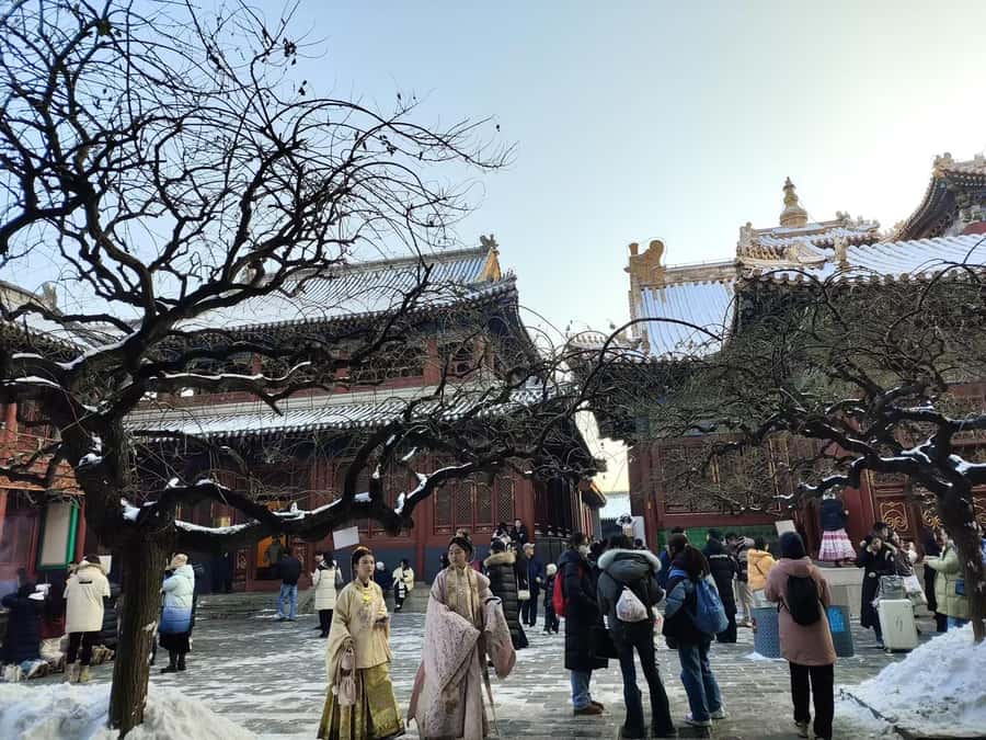 Beijing Great Wall Bus Tour with Multiple Route Options - How the shuttle bus changes your strategy