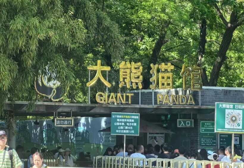Beijing: Great Wall & City Highlights Private Layover Tour - After the wall: picking your Beijing highlights