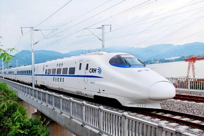 Beijing Great Wall Private Day Tour from Shanghai by Bullet Train - Who this Great Wall private day trip is perfect for