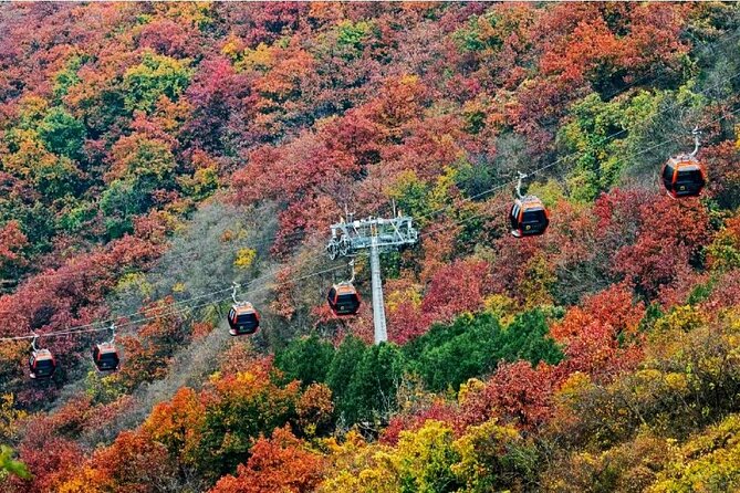 Beijing Great Wall Private Day Tour from Shanghai by Bullet Train - Bullet train logistics: 1st class vs 2nd class, and what you actually gain