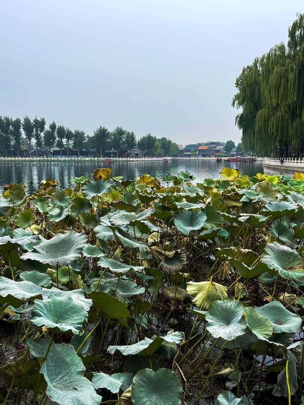 Beijing: Hutongs & Drum Tower City Walking Tour - A Taoism temple beside the Jing-hang canal and Wanning Bridge