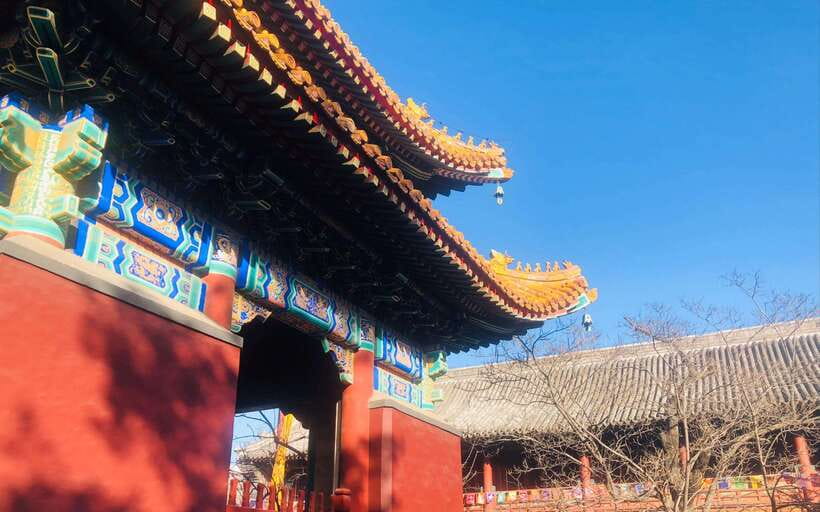 Beijing lama Temple Or Confucius Temple Tickets Reservation - Practical tips that make the temples easier