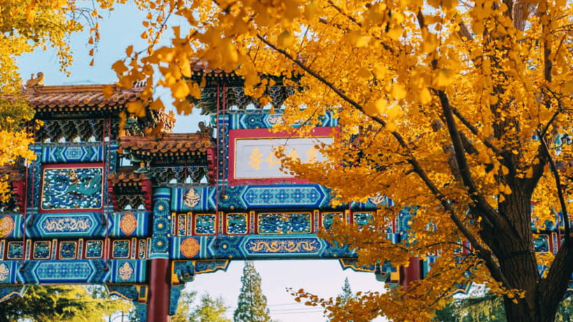 Beijing: Lama Temple (Yonghe Temple) Admission Ticket - Price and value: is $10 worth it for a one-day temple stop