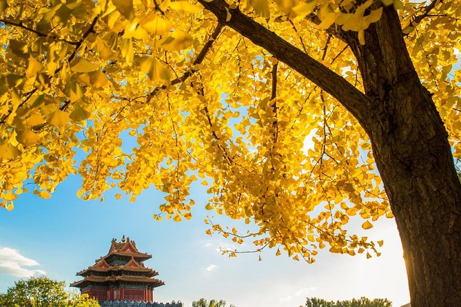 Beijing Layover Tour to Tiananmen Square and Forbidden City - What you actually get for $180, and why it can feel worth it