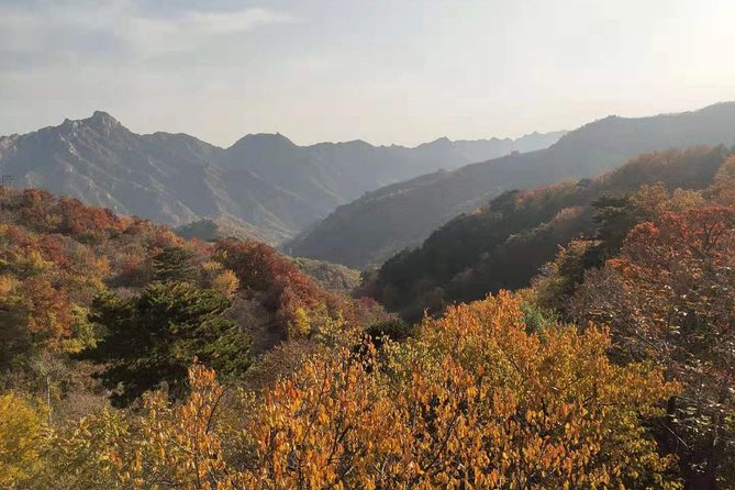 Beijing: Mutianyu Great Wall and Tea House Private Tour - Hotel pickup and the 6 to 9 hour schedule that actually fits your day